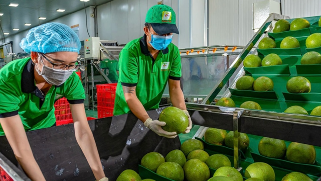 2024年の果物と野菜の輸出は新たな記録を樹立するだろう