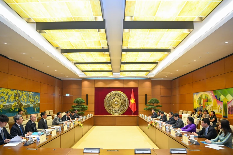 Tăng cường quan hệ hữu nghị hợp tác giữa Việt Nam và Nhật Bản trên nhiều lĩnh vực ảnh 4
