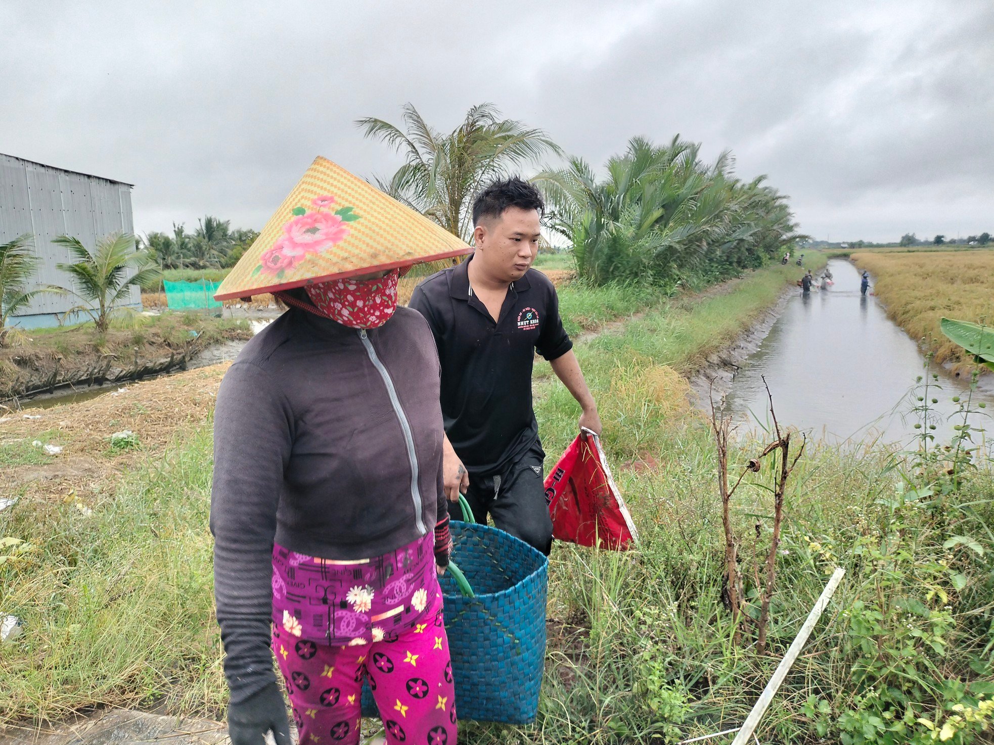 Close-up of Ca Mau farmers stirring mud to catch giant freshwater prawns photo 7