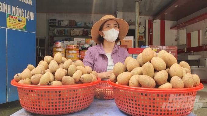 Những trái hồng xiêm nhót - đặc sản của vùng quê Lô Giang... Ảnh: Kiên Trung.