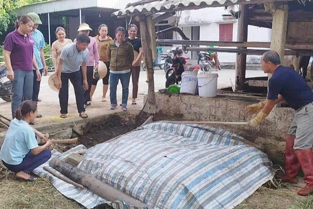 Nông dân kiếm thêm tiền lại bảo vệ môi trường từ những thứ bỏ đi trên ruộng  - 2