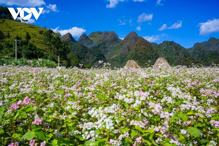 Vietnam's destinations won the WTA Awards 2023 - photo 8