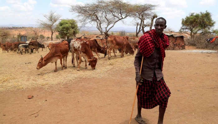 Dürre am Horn von Afrika wäre ohne Klimawandel nicht aufgetreten