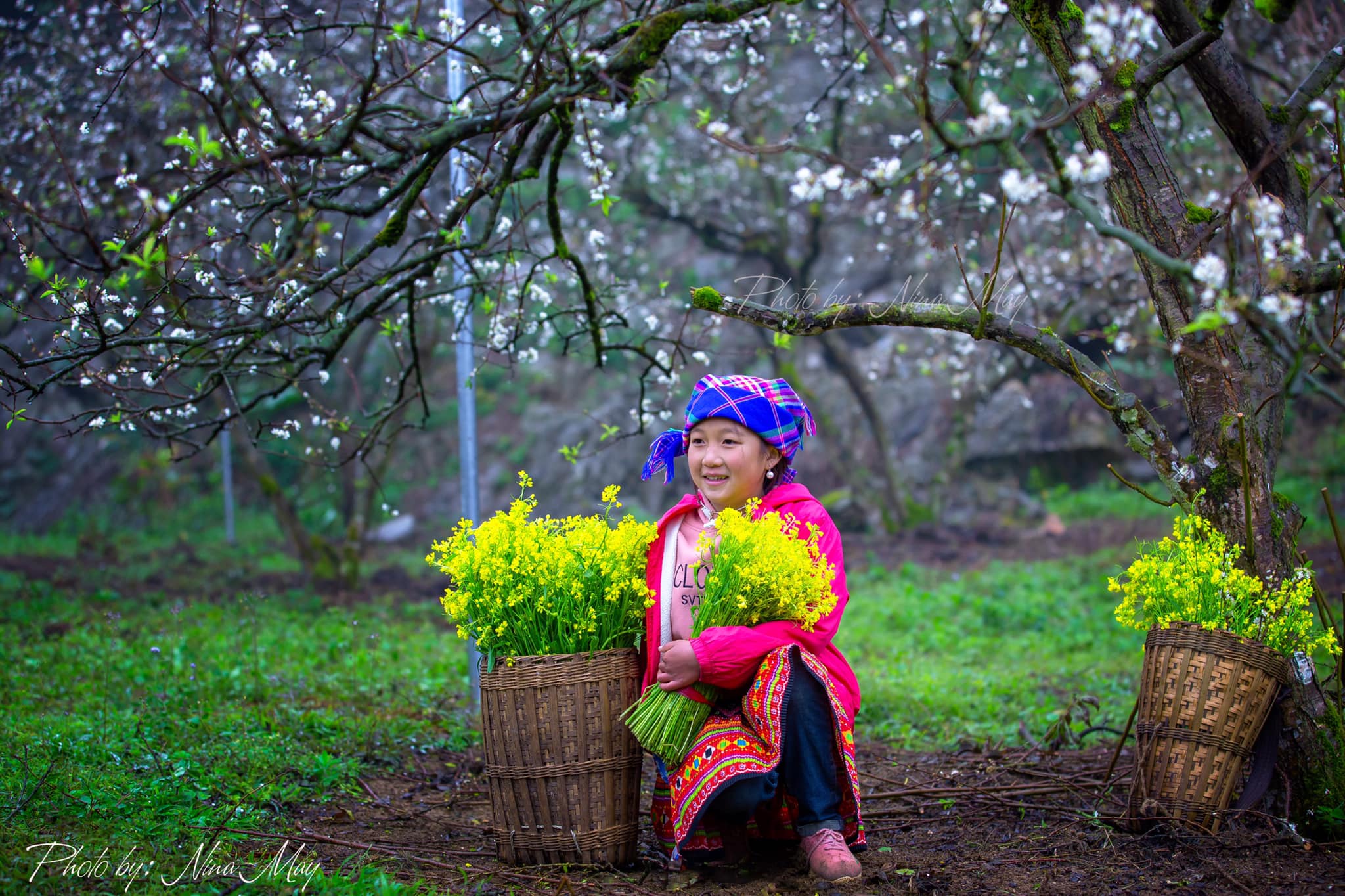 Cao nguyên Mộc Châu - Điểm trải nghiệm thiên nhiên hàng đầu thế giới