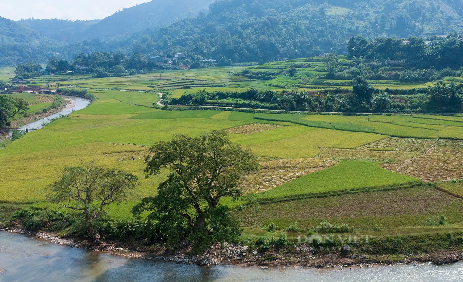 Vẻ đẹp ruộng bậc thang sau cơn lũ ở vùng cao Lào Cai  - Ảnh 14.