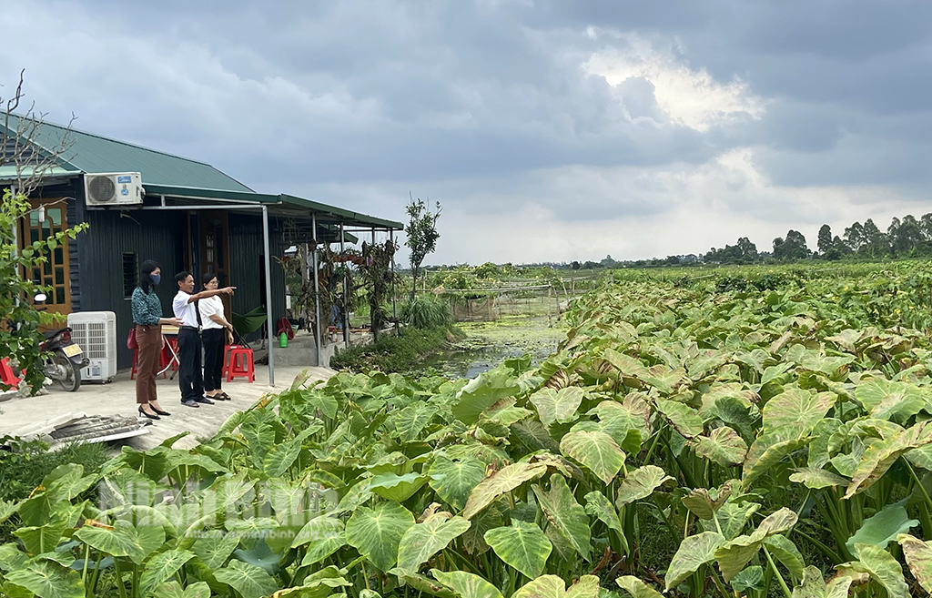 Teacher passionate about organic farming model