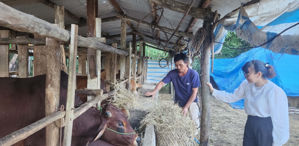 tín dụng chính sách đã và đang góp phần phục hồi và phát triển kinh tế, bảo đảm an sinh xã hội ở Quảng Nam.