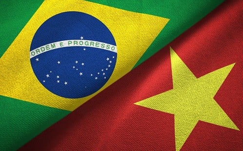 Tổng quan về Thương vụ Việt Nam tại Brazil