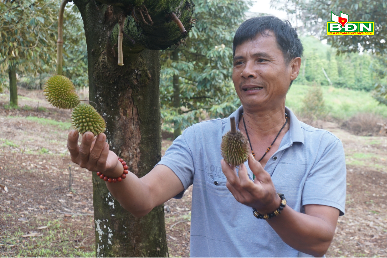 Dak Nong Agriculture Specializes in the Friendly-Oriented Direction(1).png