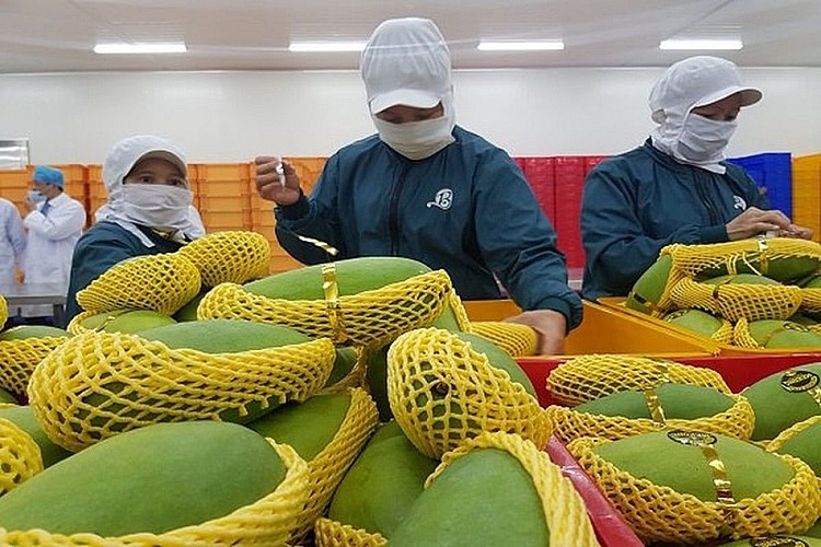 Les fruits et légumes vietnamiens dépasseront le milliard de dollars au premier trimestre 2024