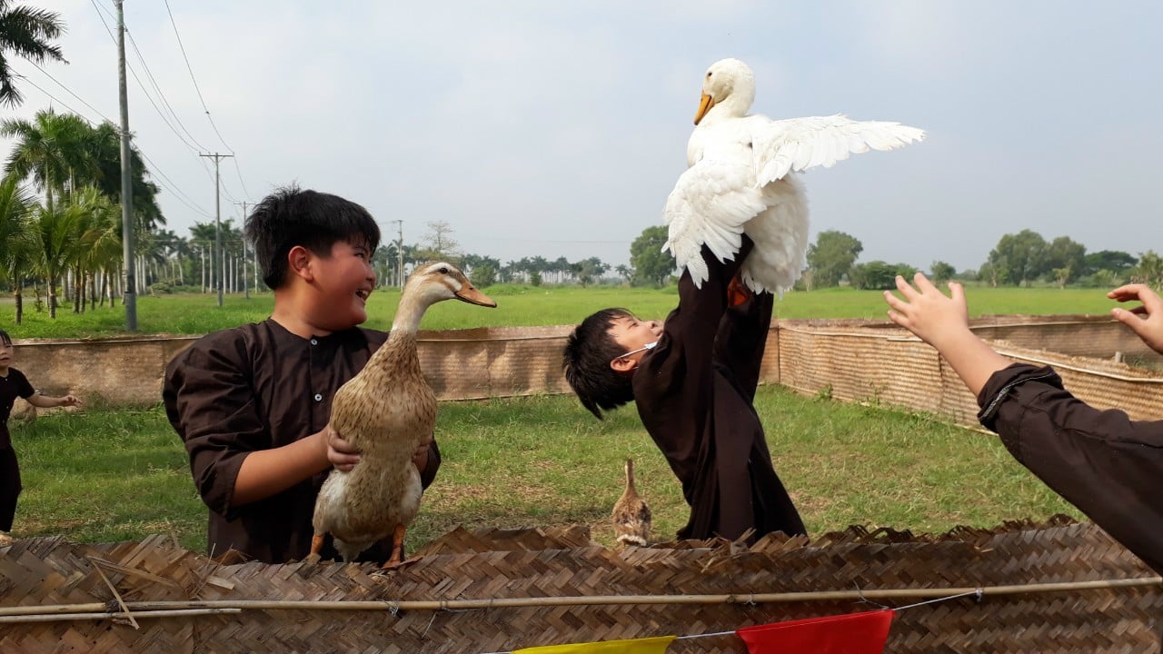 Thế nào là trường tiên tiến, hội nhập quốc tế tại TP.HCM? - Ảnh 1.