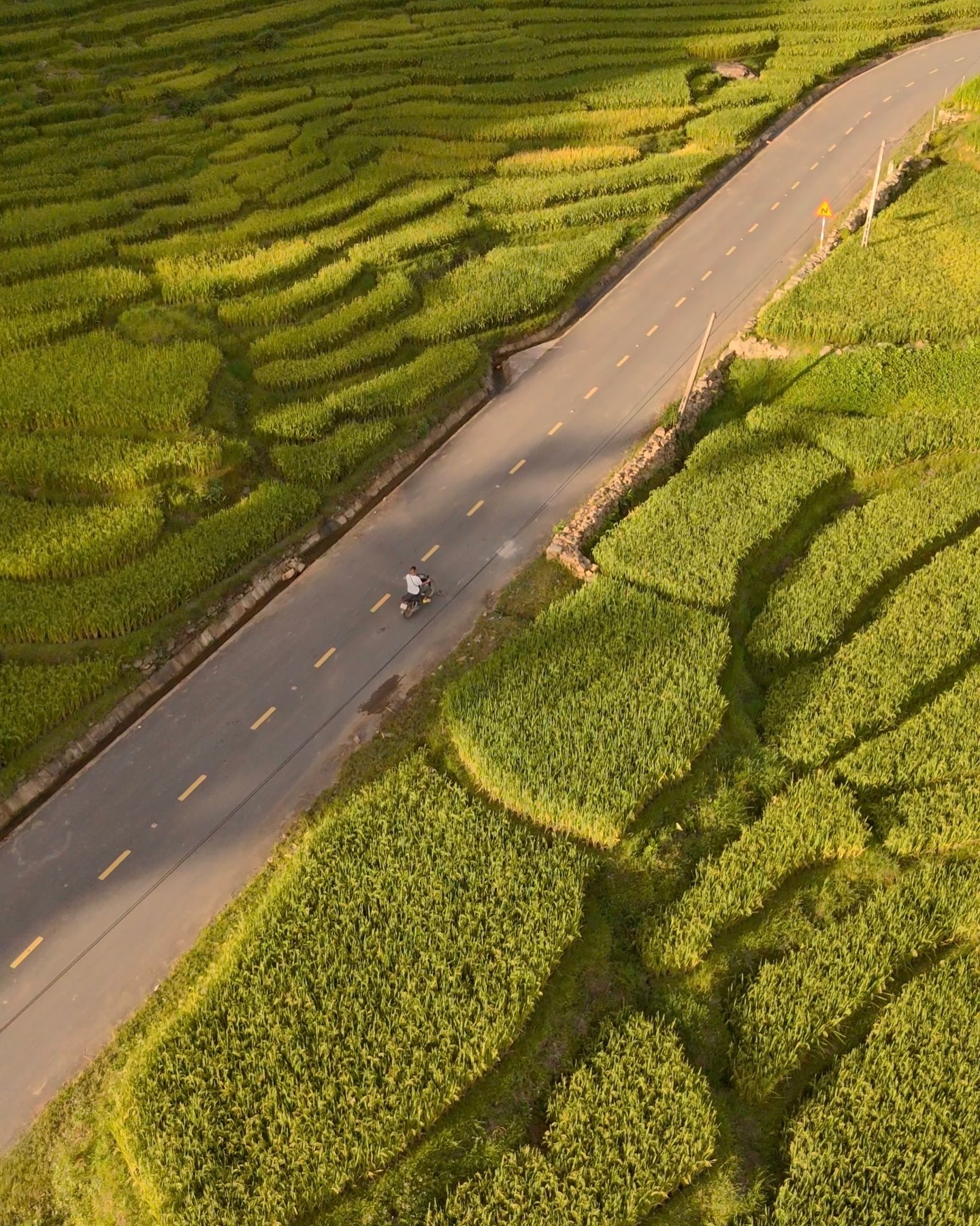 Ta Van is beautiful and peaceful in the ripe rice season "knocking on the door" before September 2nd