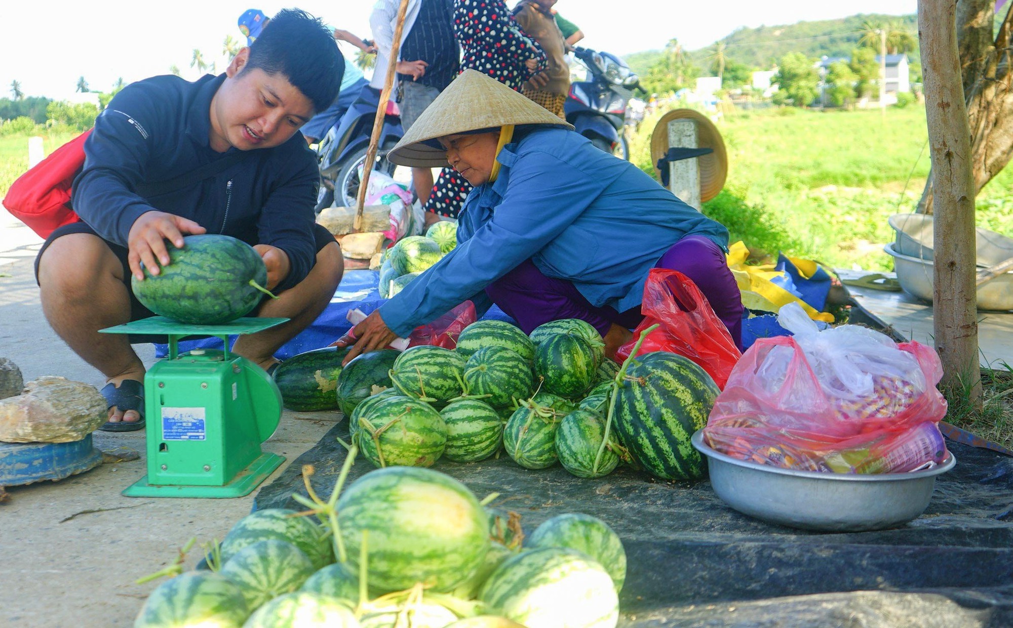 Du khách "bỏ phố về quê" trải nghiệm hái dưa hấu dưới chân núi - Ảnh 6.