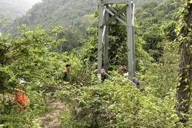 Dakrong : Vols continus de matériels et d'équipements de lignes électriques