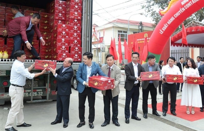 Vietnam: Las importaciones y exportaciones de EE.UU. superan los 100 mil millones de dólares