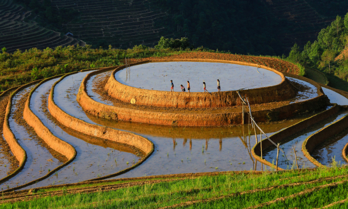 Terrassenfelder von Tu Le in der Hochwassersaison. Foto: Dao Viet Hung.