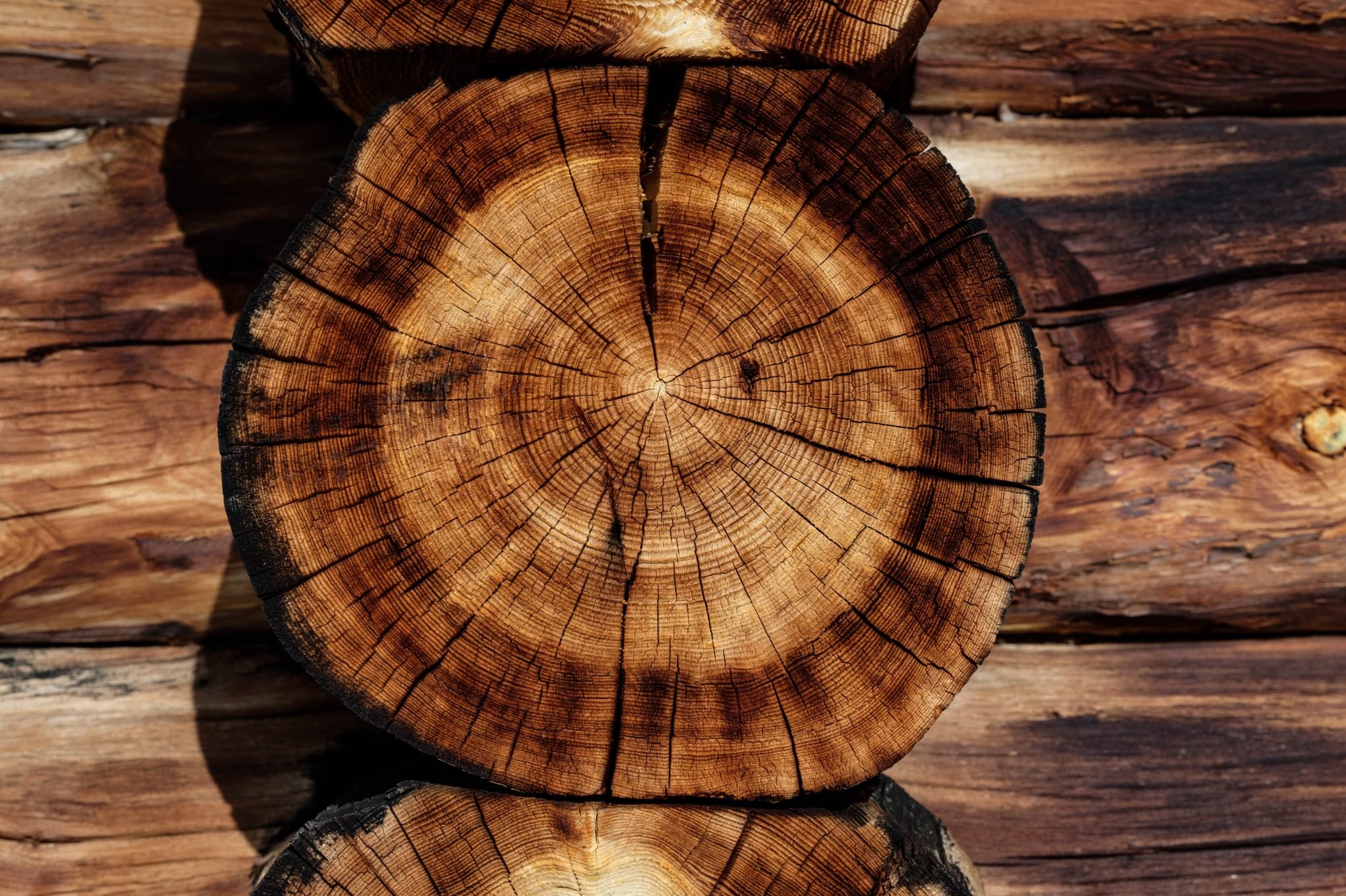 The country's wood exports are expected to earn 16 billion USD this year.