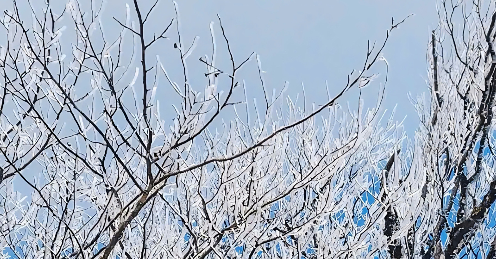 2025年1月13日の天気予報：北部の気温が上昇し、高山には氷が張っている