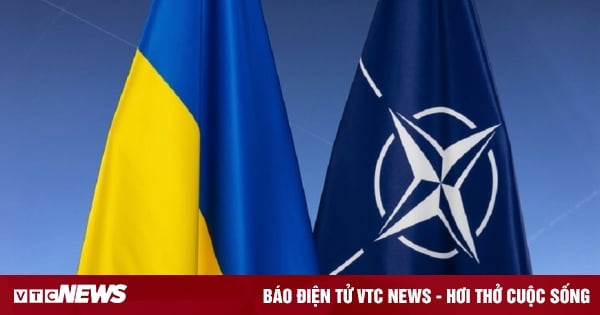 Tiết lộ bức thư Ukraine thúc giục NATO kết nạp thành viên