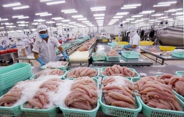 Pangasius exports to Germany grow by double digits