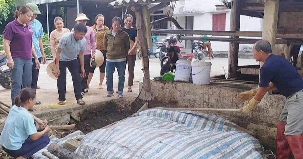 Nông dân kiếm thêm tiền lại bảo vệ môi trường từ những thứ bỏ đi trên ruộng