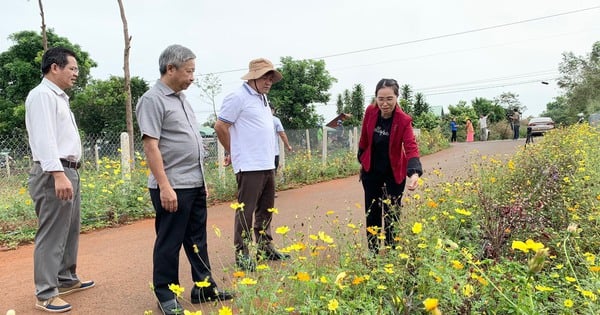 Bà Rịa - Vũng Tàu: Một huyện trồng hoa hơn 600km đường giao thông