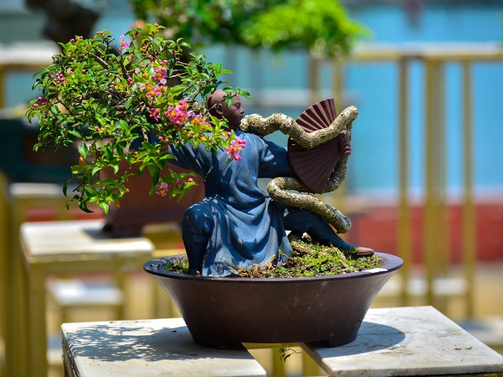 Chiêm ngưỡng hàng trăm cây bonsai "độc lạ" dưới chân cầu Sông Hàn - Ảnh 10.