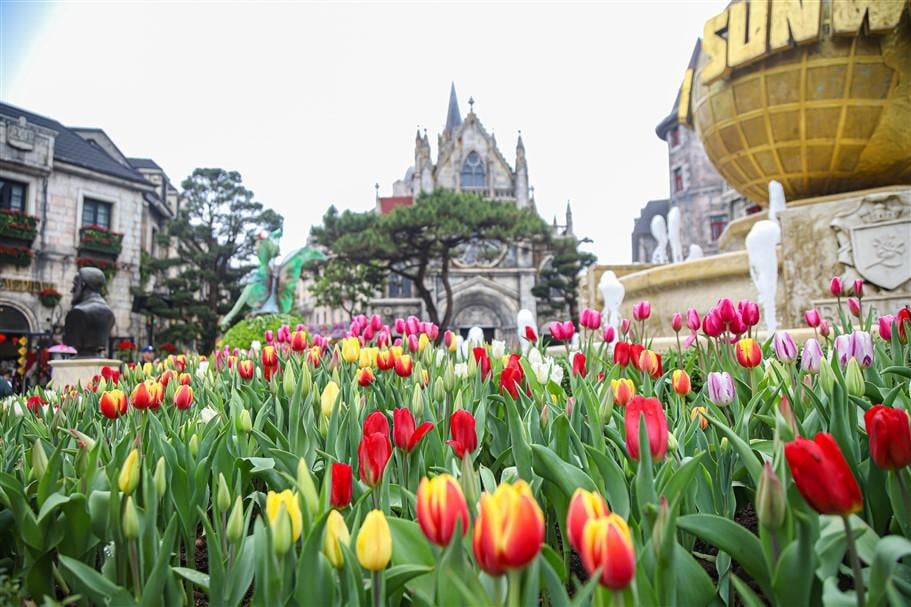 Sun World Ba Na Hills Spring Festival attracts tens of thousands of tourists - Photo 3