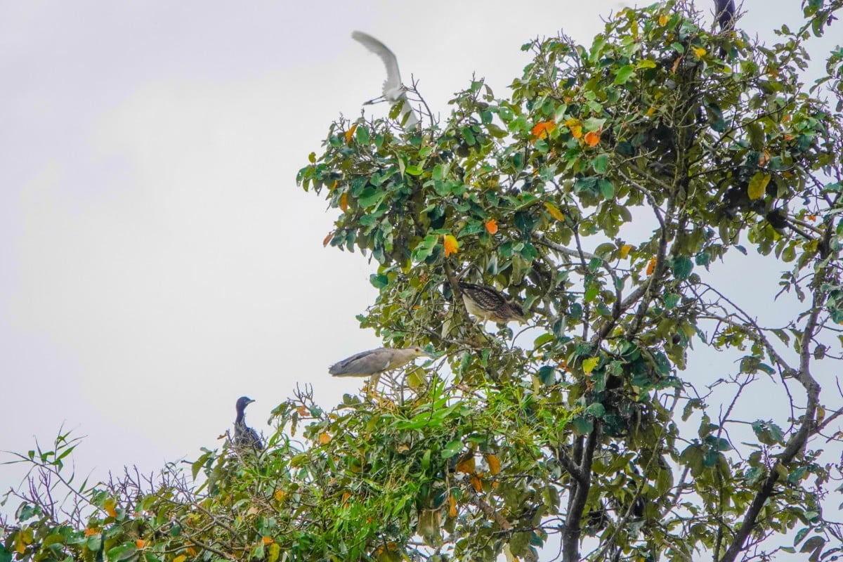 Tres generaciones dan tierra a los pájaros