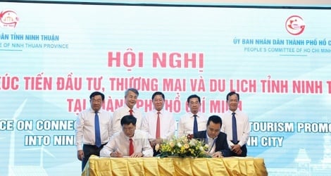 Doanh nghiệp TP.HCM “hiến kế” để thu hút đầu tư vào Ninh Thuận