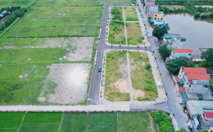 Hanoi cancela los resultados de la subasta de un terreno en el distrito de Thanh Oai