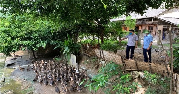 Dinh Hoa (Thai Nguyen): Das Erscheinungsbild der ländlichen Bergregionen hat sich dank der Wirksamkeit der ethnischen Politik verändert.