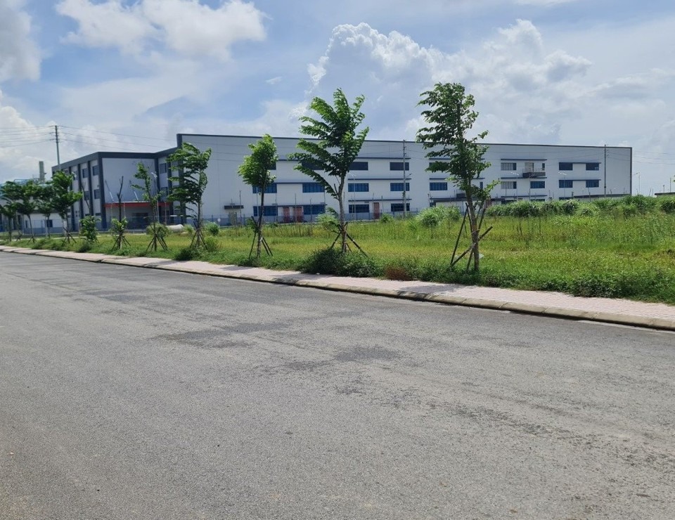 تصویرسازی: دی اچ