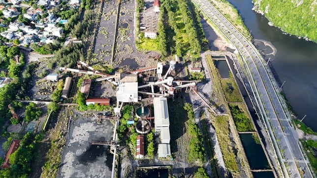 Le terrain « doré » pour construire un hôpital de 4 200 milliards est bloqué dans le défrichement à Quang Ninh, photo 10