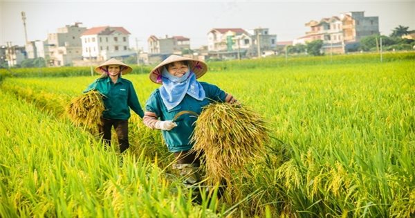 ทบทวนความสำเร็จที่โดดเด่นของภาคการเกษตรในปี 2567