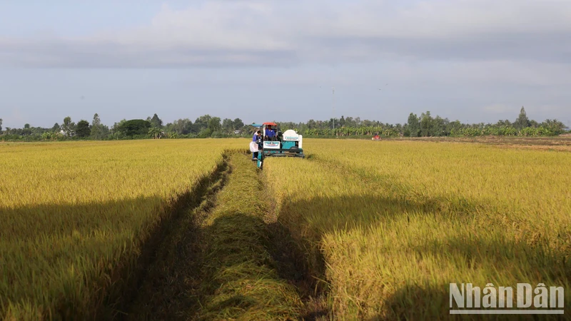 បង្កើតកម្លាំងខាងក្នុងពីផលិតផល OCOP