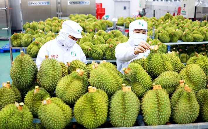 韓国への果物と野菜の輸出が急増