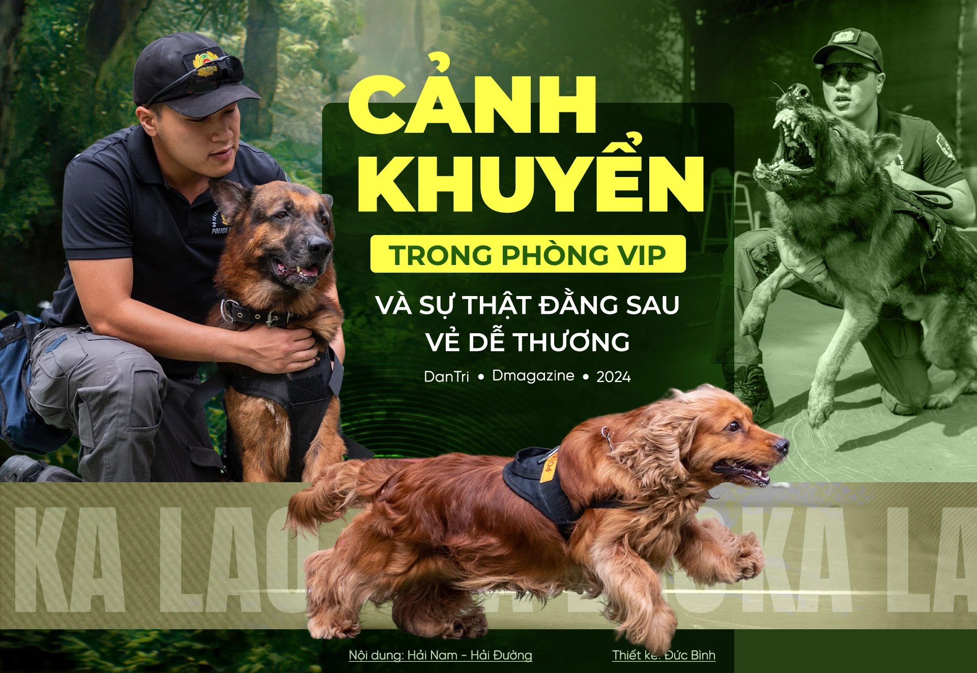 Police dogs in VIP rooms and the secret behind their cute appearance