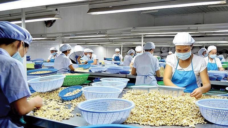 Améliorer l'efficacité de la promotion des produits agricoles vietnamiens dans la région Moyen-Orient - Afrique du Nord