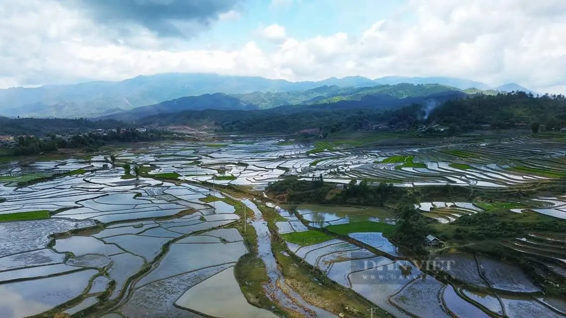 Nông dân đi cấy trên những cánh đồng đẹp như tranh vẽ ở Mù Cang Chải khi mùa nước đổ - Ảnh 2.