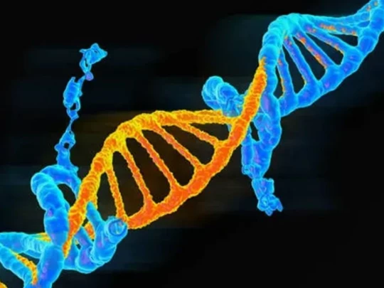 Australia sử dụng CRISPR để vô hiệu hoá các đột biến gene gây ung thư