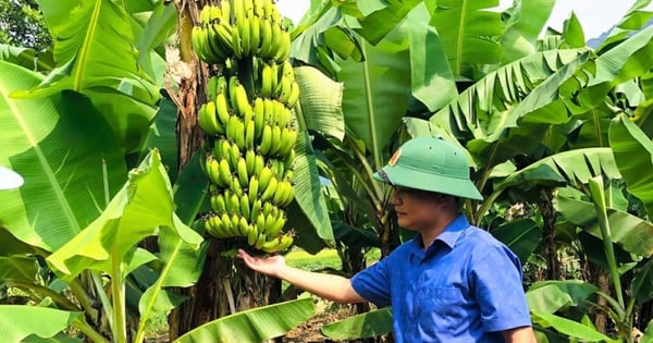 A Lưới thoát nghèo và mục tiêu “không để ai bị bỏ lại phía sau”