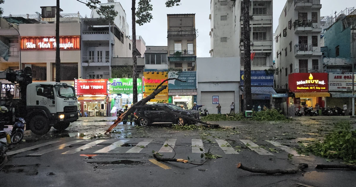 Muchas personas que viajaban en un automóvil escaparon de la muerte luego de ser aplastadas por la caída de un árbol en el Distrito 10, Ciudad Ho Chi Minh.