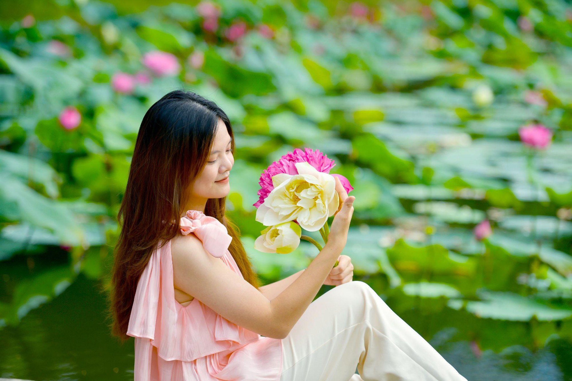 Ngỡ ngàng hồ sen bên Vịnh di sản đẹp như tranh vẽ - Ảnh 5.