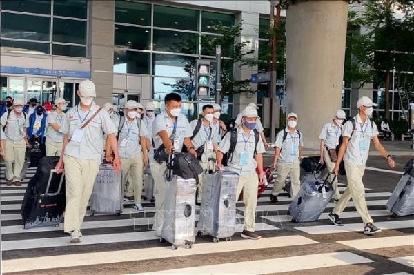 La Corée du Sud annonce le premier lot de travailleurs étrangers qui seront acceptés en 2024