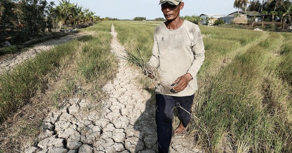 El delta del Mekong entra en un período de máxima sequía y salinidad