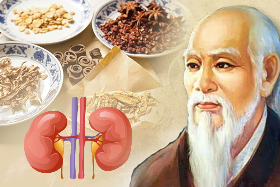 วิกานัม ทัม บิญ - โซลูชั่นเพื่อบำรุงไต เสริมสร้างสรีรวิทยา