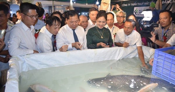 2 poissons élevés dans le lac Hoa Binh ont été vendus aux enchères pour 115 millions de VND