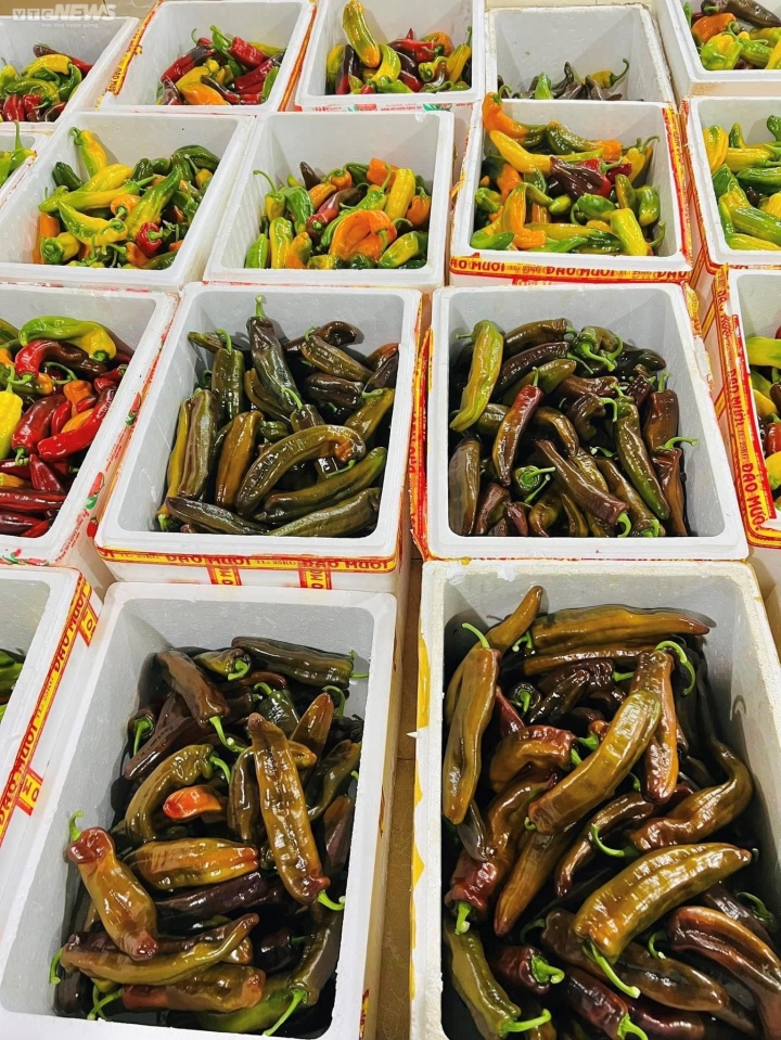 'Super big' chili peppers are expensive, customers wait a month to order - 2