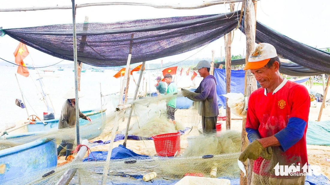 El arenque regresa al mar de Phu Quoc, la gente tiene una buena cosecha y está llena de alegría